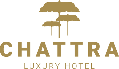 Chattra Luxury Hotel Divi Layout